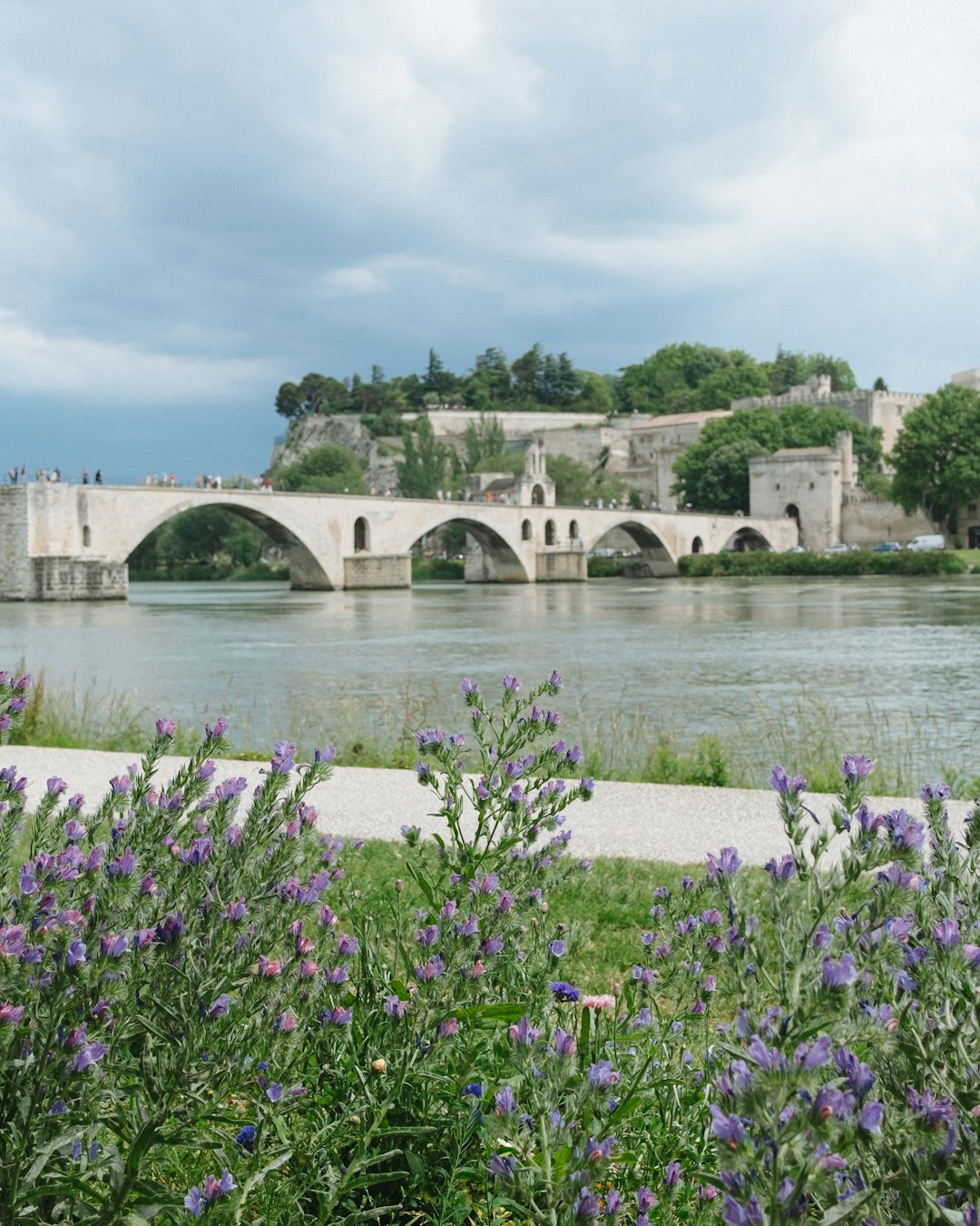 Le pont Saint-Bénézet à Avignon, au bord du Rhône